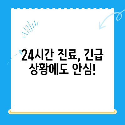 시지 24시 동물병원 고양이 심장 진료 후기| 솔직한 경험 공유 | 고양이 심장병, 동물병원 추천, 진료 후기