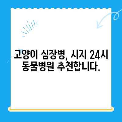 시지 24시 동물병원 고양이 심장 진료 후기| 솔직한 경험 공유 | 고양이 심장병, 동물병원 추천, 진료 후기