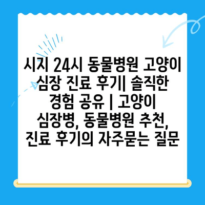 시지 24시 동물병원 고양이 심장 진료 후기| 솔직한 경험 공유 | 고양이 심장병, 동물병원 추천, 진료 후기