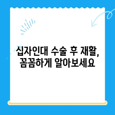 십자인대 수술, 어디서 받아야 할까요? | 전문의 추천 병원 & 수술 정보