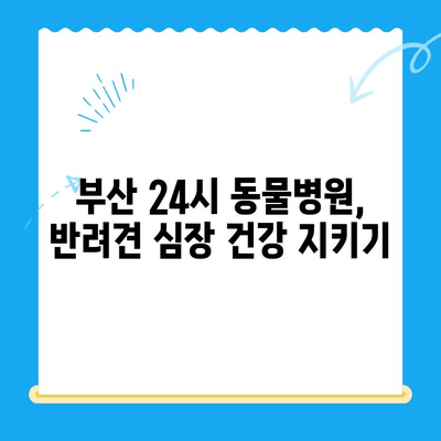 부산 24시 동물병원 반려견 심장검사 후기|  [병원 이름]에서 경험한 이야기 | 심장병, 건강검진, 반려동물