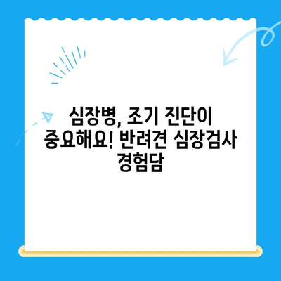 부산 24시 동물병원 반려견 심장검사 후기|  [병원 이름]에서 경험한 이야기 | 심장병, 건강검진, 반려동물