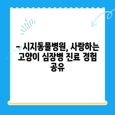 시지동물병원 고양이 심장진료 후기| 상세 경험 공유 | 고양이 심장병, 진료 후기, 시지 동물병원