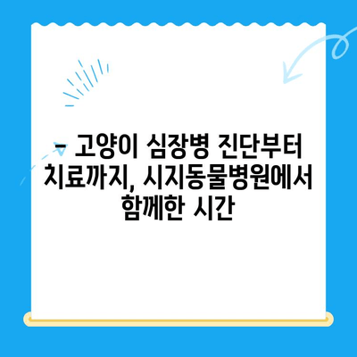 시지동물병원 고양이 심장진료 후기| 상세 경험 공유 | 고양이 심장병, 진료 후기, 시지 동물병원