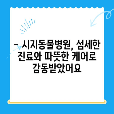 시지동물병원 고양이 심장진료 후기| 상세 경험 공유 | 고양이 심장병, 진료 후기, 시지 동물병원