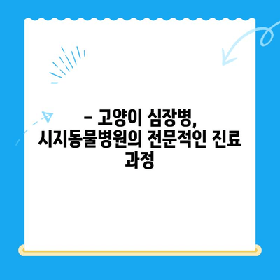 시지동물병원 고양이 심장진료 후기| 상세 경험 공유 | 고양이 심장병, 진료 후기, 시지 동물병원