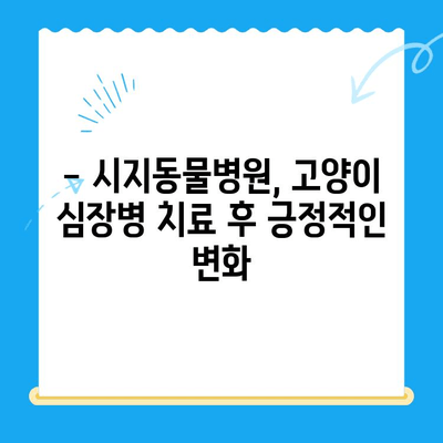 시지동물병원 고양이 심장진료 후기| 상세 경험 공유 | 고양이 심장병, 진료 후기, 시지 동물병원