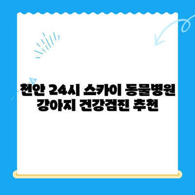 천안 24시 스카이 동물병원 강아지 건강검진 추천| 믿을 수 있는 검진 프로그램 | 천안, 동물병원, 강아지 건강, 건강검진, 추천