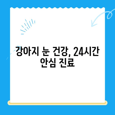 용인·평택·오산 24시간 응급센터, 강아지 안과 검진 후기| 🐶 눈 건강 지키는 필수 정보 | 강아지 안과, 응급센터, 24시간 진료, 용인, 평택, 오산