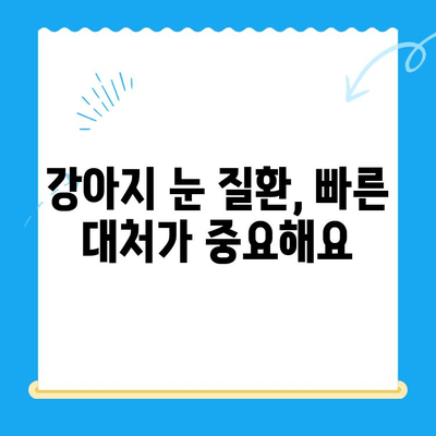 용인·평택·오산 24시간 응급센터, 강아지 안과 검진 후기| 🐶 눈 건강 지키는 필수 정보 | 강아지 안과, 응급센터, 24시간 진료, 용인, 평택, 오산