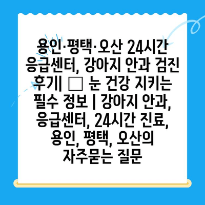 용인·평택·오산 24시간 응급센터, 강아지 안과 검진 후기| 🐶 눈 건강 지키는 필수 정보 | 강아지 안과, 응급센터, 24시간 진료, 용인, 평택, 오산