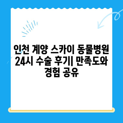 인천 계양 스카이 동물병원 24시 수술 후기| 만족도와 경험 공유 | 인천 동물병원, 24시 진료, 수술 후기, 계양구 동물병원