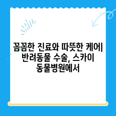 인천 계양 스카이 동물병원 24시 수술 후기| 만족도와 경험 공유 | 인천 동물병원, 24시 진료, 수술 후기, 계양구 동물병원