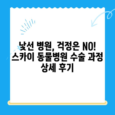 인천 계양 스카이 동물병원 24시 수술 후기| 만족도와 경험 공유 | 인천 동물병원, 24시 진료, 수술 후기, 계양구 동물병원