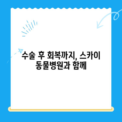 인천 계양 스카이 동물병원 24시 수술 후기| 만족도와 경험 공유 | 인천 동물병원, 24시 진료, 수술 후기, 계양구 동물병원