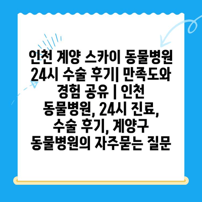 인천 계양 스카이 동물병원 24시 수술 후기| 만족도와 경험 공유 | 인천 동물병원, 24시 진료, 수술 후기, 계양구 동물병원