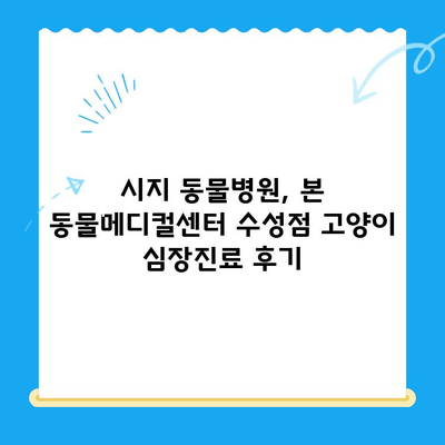 시지 동물병원, 
