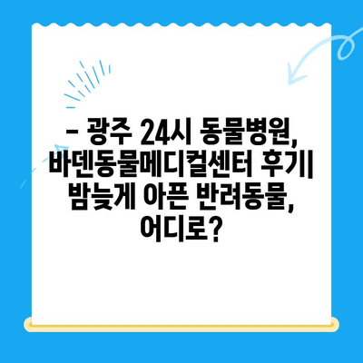 광주 24시 동물병원, 바덴동물메디컬센터 이용 후기| 실제 경험담 공유 | 동물병원 추천, 야간 진료, 응급 진료