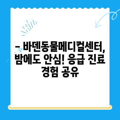 광주 24시 동물병원, 바덴동물메디컬센터 이용 후기| 실제 경험담 공유 | 동물병원 추천, 야간 진료, 응급 진료