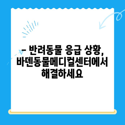광주 24시 동물병원, 바덴동물메디컬센터 이용 후기| 실제 경험담 공유 | 동물병원 추천, 야간 진료, 응급 진료