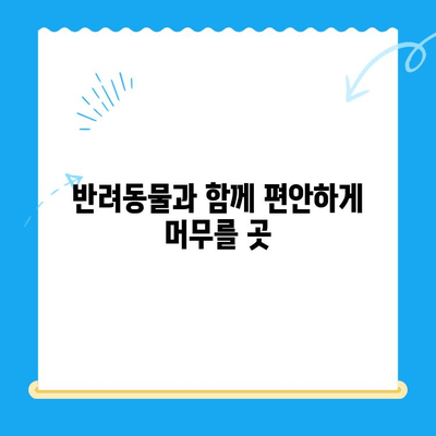 처인구 동물병원 24시 근처 게스트룸| 편안한 휴식 공간 찾기 | 처인구, 동물병원, 숙박, 게스트하우스, 호텔