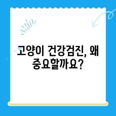 고양이 건강검진의 중요성| 폴 동물병원에서 알려드리는 필수 검사 & 건강 관리 팁 | 고양이 건강, 건강검진, 예방접종, 폴 동물병원