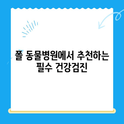 고양이 건강검진의 중요성| 폴 동물병원에서 알려드리는 필수 검사 & 건강 관리 팁 | 고양이 건강, 건강검진, 예방접종, 폴 동물병원