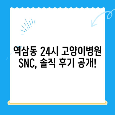 역삼동 24시 고양이병원 SNC동물메디컬센터 진료 후기| 솔직한 경험 공유 | 고양이 건강, 응급 진료, 동물병원 추천