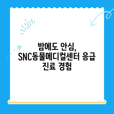 역삼동 24시 고양이병원 SNC동물메디컬센터 진료 후기| 솔직한 경험 공유 | 고양이 건강, 응급 진료, 동물병원 추천