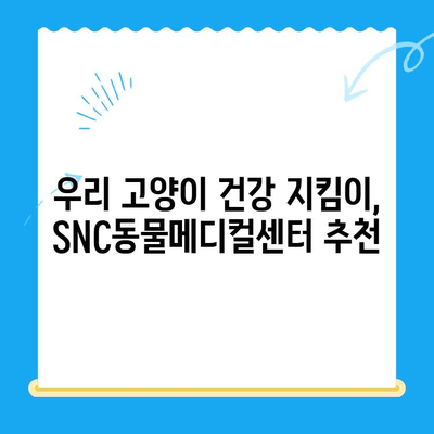 역삼동 24시 고양이병원 SNC동물메디컬센터 진료 후기| 솔직한 경험 공유 | 고양이 건강, 응급 진료, 동물병원 추천