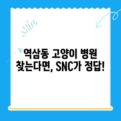역삼동 24시 고양이병원 SNC동물메디컬센터 진료 후기| 솔직한 경험 공유 | 고양이 건강, 응급 진료, 동물병원 추천