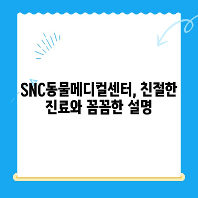 역삼동 24시 고양이병원 SNC동물메디컬센터 진료 후기| 솔직한 경험 공유 | 고양이 건강, 응급 진료, 동물병원 추천