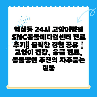 역삼동 24시 고양이병원 SNC동물메디컬센터 진료 후기| 솔직한 경험 공유 | 고양이 건강, 응급 진료, 동물병원 추천