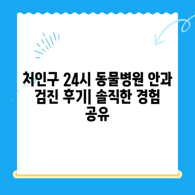 처인구 24시 동물병원에서 강아지 안과 검진 받은 후기| 솔직한 경험 공유 | 강아지 안과, 동물병원 추천, 안과 검진 후기