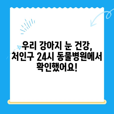 처인구 24시 동물병원에서 강아지 안과 검진 받은 후기| 솔직한 경험 공유 | 강아지 안과, 동물병원 추천, 안과 검진 후기