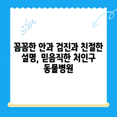 처인구 24시 동물병원에서 강아지 안과 검진 받은 후기| 솔직한 경험 공유 | 강아지 안과, 동물병원 추천, 안과 검진 후기