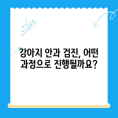 처인구 24시 동물병원에서 강아지 안과 검진 받은 후기| 솔직한 경험 공유 | 강아지 안과, 동물병원 추천, 안과 검진 후기
