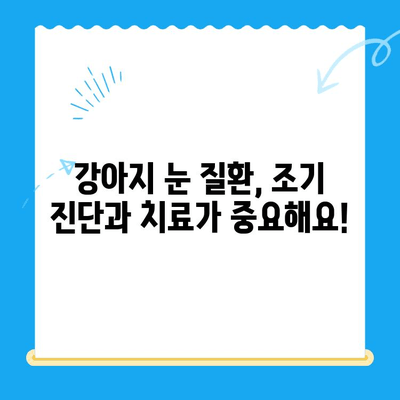 처인구 24시 동물병원에서 강아지 안과 검진 받은 후기| 솔직한 경험 공유 | 강아지 안과, 동물병원 추천, 안과 검진 후기