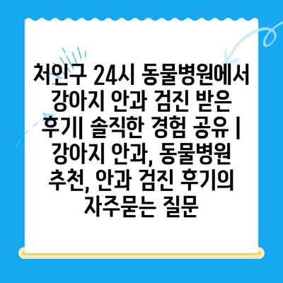 처인구 24시 동물병원에서 강아지 안과 검진 받은 후기| 솔직한 경험 공유 | 강아지 안과, 동물병원 추천, 안과 검진 후기