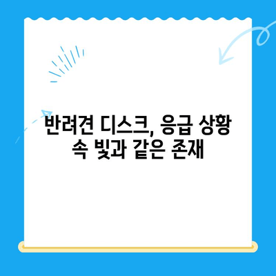 대구 24시 디스크 전문 동물병원 응급실 후기| 실제 이용자 경험 공유 | 반려동물, 디스크, 응급, 진료 후기, 추천