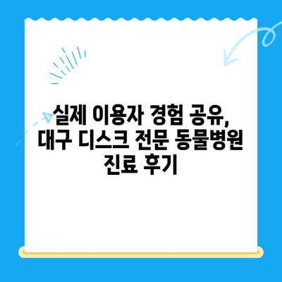 대구 24시 디스크 전문 동물병원 응급실 후기| 실제 이용자 경험 공유 | 반려동물, 디스크, 응급, 진료 후기, 추천