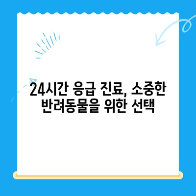 대구 24시 디스크 전문 동물병원 응급실 후기| 실제 이용자 경험 공유 | 반려동물, 디스크, 응급, 진료 후기, 추천