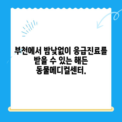 부천 24시 동물병원, 해든 동물메디컬센터 응급실| 반려동물 응급 상황, 지금 바로 해결하세요! | 부천, 24시 동물병원, 응급진료, 야간진료, 동물병원 추천