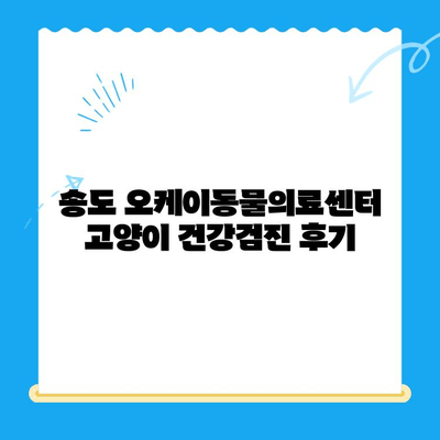 송도 24시 동물병원 오케이동물의료센터 고양이 건강검진 후기| 꼼꼼한 진료와 친절한 서비스 👍 | 고양이 건강검진, 송도 동물병원, 오케이동물의료센터 후기