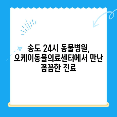 송도 24시 동물병원 오케이동물의료센터 고양이 건강검진 후기| 꼼꼼한 진료와 친절한 서비스 👍 | 고양이 건강검진, 송도 동물병원, 오케이동물의료센터 후기