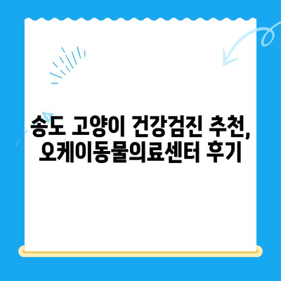송도 24시 동물병원 오케이동물의료센터 고양이 건강검진 후기| 꼼꼼한 진료와 친절한 서비스 👍 | 고양이 건강검진, 송도 동물병원, 오케이동물의료센터 후기