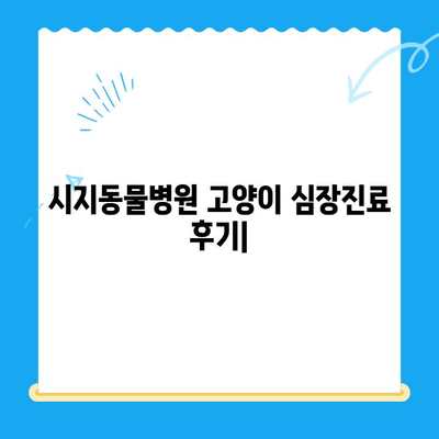 시지동물병원 고양이 심장진료 후기| 꼼꼼한 진료부터 따뜻한 케어까지 | 고양이 심장병, 시지 동물병원, 진료 후기, 추천