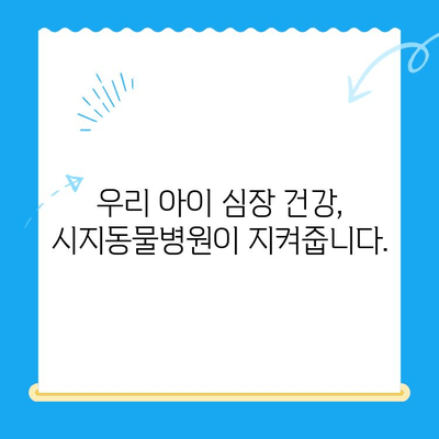 시지동물병원 고양이 심장진료 후기| 꼼꼼한 진료부터 따뜻한 케어까지 | 고양이 심장병, 시지 동물병원, 진료 후기, 추천