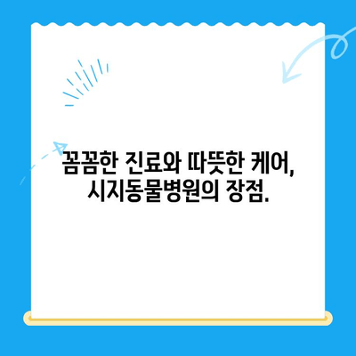 시지동물병원 고양이 심장진료 후기| 꼼꼼한 진료부터 따뜻한 케어까지 | 고양이 심장병, 시지 동물병원, 진료 후기, 추천