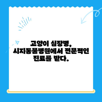 시지동물병원 고양이 심장진료 후기| 꼼꼼한 진료부터 따뜻한 케어까지 | 고양이 심장병, 시지 동물병원, 진료 후기, 추천